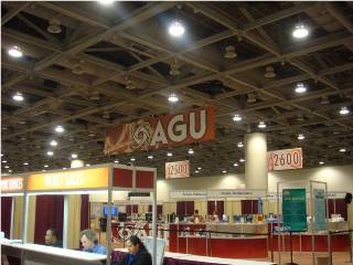 AGU_fall